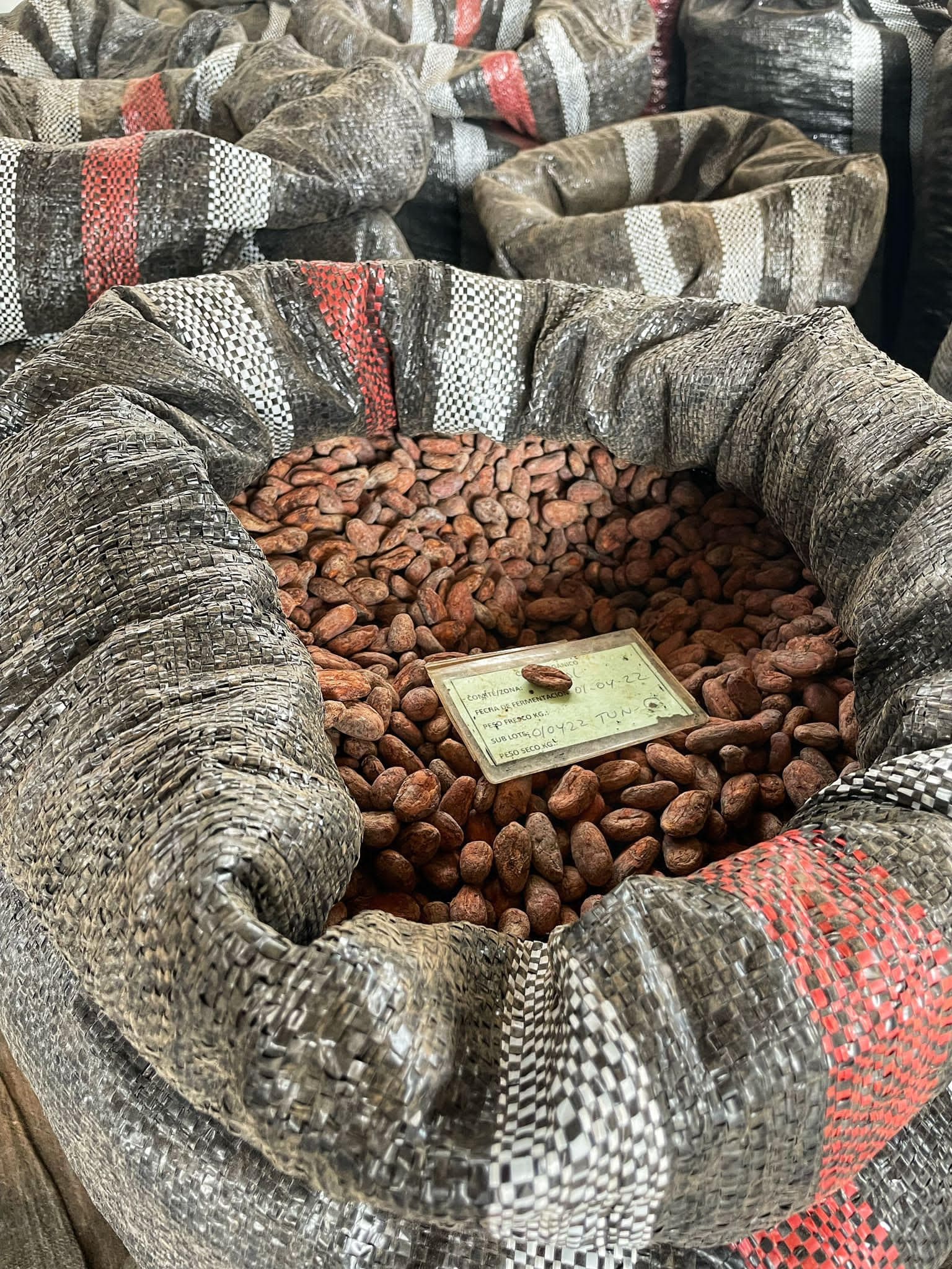 Cacao en saco