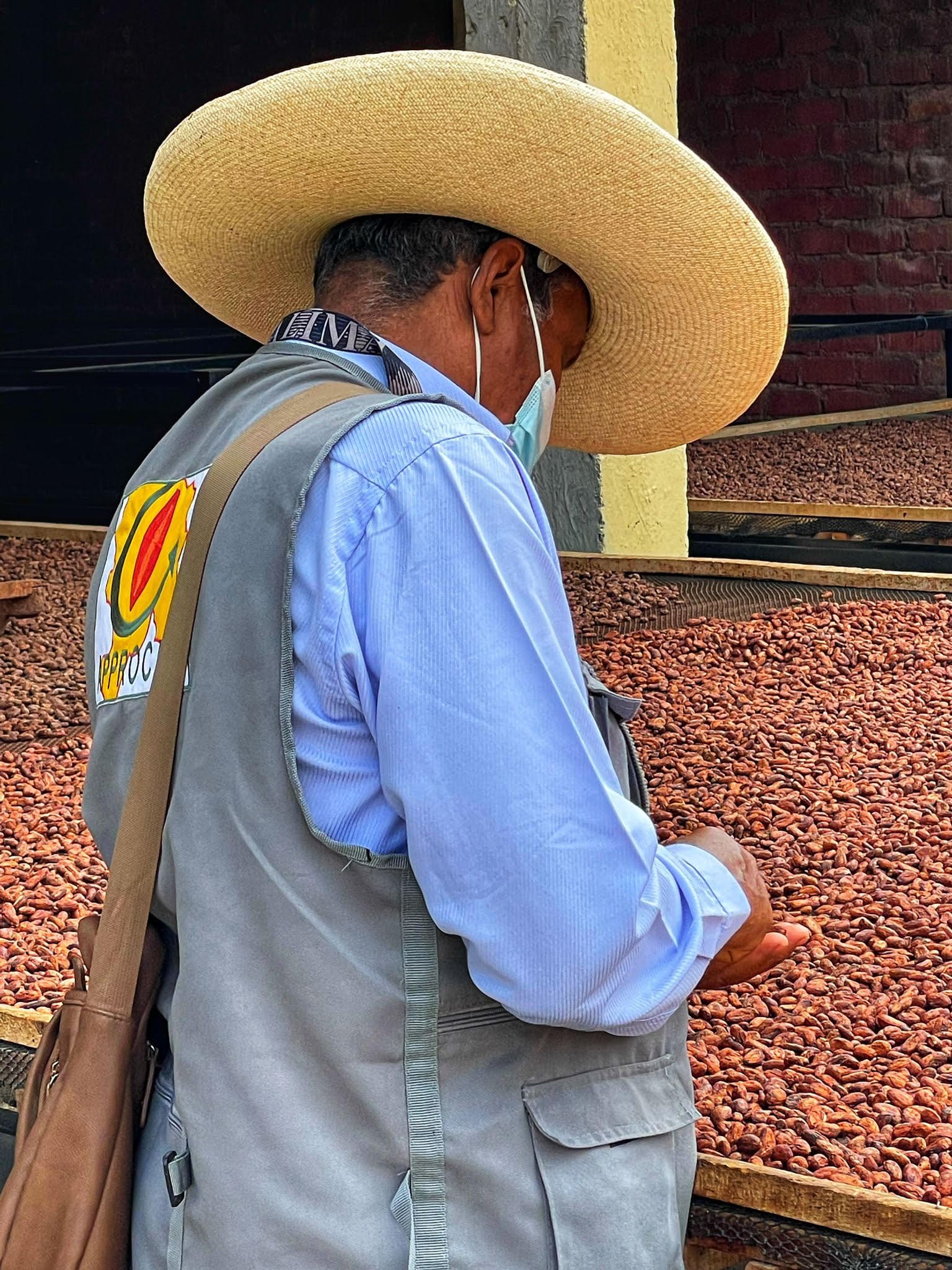 Proceso transformación cacao