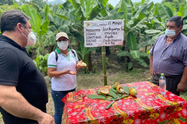 Prosertek’s support for the Alboan campaign to support farmers in Peru